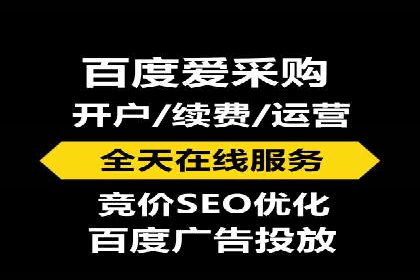 XX行业竞价广告的投放策略与效果分析